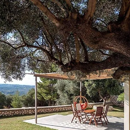 The Cerulean - The Concord Of Blue And Mousata