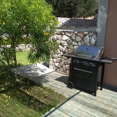 The Cerulean - The Concord Of Blue And Mousata