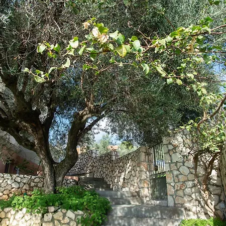 The Cerulean - The Concord Of Blue And ヴィラ Mousata